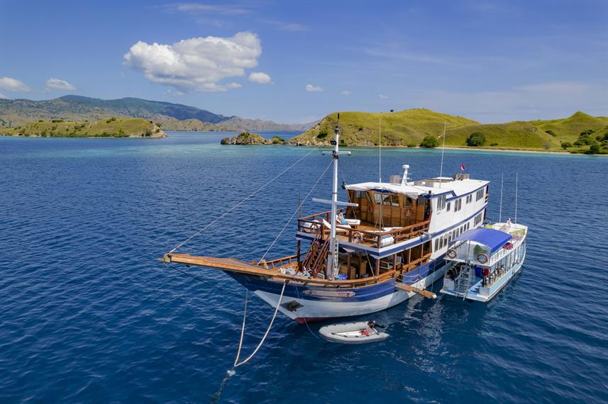 Komodo Sea Dragon exterior